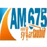 Radio Syiar Tauhid Depok logo