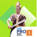 RRI Pro 1 - NTT Ende-logo
