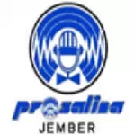 Logo Prosalina Radio - Jember