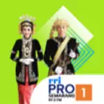RRI Pro 1 - Semarang-Logo