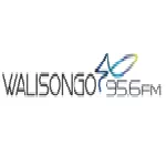 Walisongo FM - Pekalongan logó