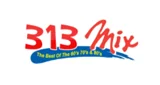 313TheMix - United States, Michigan, Taylor logo