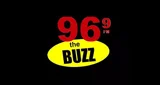Logo 96.9 The Buzz - United States, Georgia, Dublin