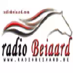 Beiaard Radio - Belgium, Flandre-Orientale, Termonde logosu