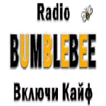 BumbleBee - Україна, Кіровоградська область, Олександрия logo