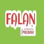 Falan - Online - Colombia, Tolima, Falan-logo