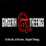 Logo Gingerh Theengs FM - Nigeria, Plateau, Jos