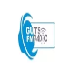 Guts FM Ogun - Nigeria, Ogun, Ijebu Ode logo