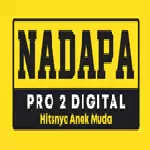 Nadapa Pro 2 Digital - Indonesia, Sumatera Utara, Kota Medan logó