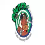 Logo Piuara FM 100.1 - Brasil, Amapá, Porto Grande