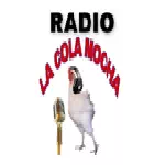 Logo Radio La Cola Mocha - United States,