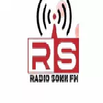 Radio Sonn 101.9 FM - Haïti, Nord-Ouest, Jean-Rabel logo