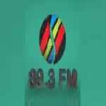 Sighet FM 89.3 - România, Maramureş, Sighet logo