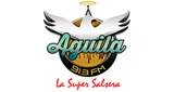 Logo Aguila 91.3 Fm - Venezuela, Estado Miranda, Chacao