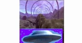 Ambient Art Foundation - România, Județul Dolj, Craiova logotips