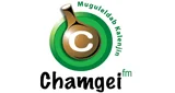 Chamgei FM - Kenya, Nairobi County, Nairobi logo