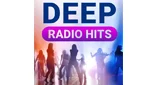 Deep Radio Hits - România, Județul Maramureș, Baia Mare logo