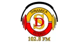 Dinamica Stereo - Colombia, Huila, Altamira logo