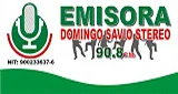Domingo Savio Stereo - Colombia, Chocó, Quibdó logo