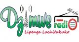 Logo Dzimwe Community Radio - Malawi, Mangochi