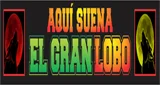 Logo El Gran Lobo - Colombia, Bogotá D.C., Bogotá
