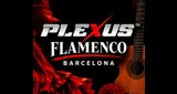 Logo Flamenco Barcelona - PlexusRadio.com - España, Cataluña, Barcelona