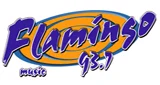 Flamingo Stereo - México, Chihuahua, Delicias logo