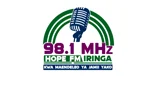 โลโก้ Hope Fm 98.1 - Tanzania, Iringa