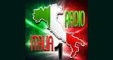 Italia 1 Internet Radio - Italia, Emilia-Romagna, Modena logo