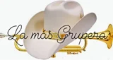 La más Grupera - México, Guerrero, Pilcaya logo