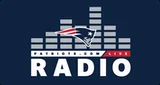 Patriots.com - United States, Massachusetts, Foxboroughのロゴ