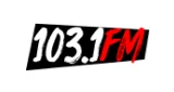 โลโก้ Polskie Radio WPNA 103.1 FM - United States, Illinois, Chicago