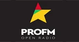 Logo ProFM - România, Bucharest, București