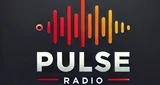 Логотип Pulse - Brasil, São Paulo, Bauru