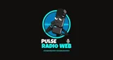 Pulse Rádio Web - Brasil, Pernambuco, Cupira logo