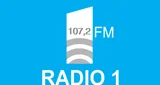 Radio 1 FM - România, Județul Neamț, Piatra Neamț logo