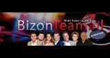 Radio BizonTeam - Nederland, Overijssel, Dedemsvaart logo