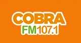 Logo Rádio Cobra FM - Brasil, Paraná, Londrina