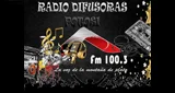 Лагатып Radio Difusoras Potosi - Bolivia, Potosí, Potosí