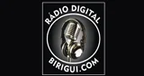Rádio Digital Birigui - Brasil, São Paulo, Birigui-Logo