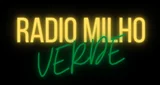 Radio do Milho - Brasil, Sergipe, Rosário do Catete-logo