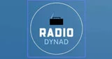 Radio Dynad - Deutschland, Sachsen, Hainichen logo