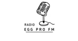 RADIO EGG PRO FM - RD Congo, Kinshasa loqosu