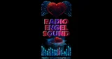 Logo Radio-Engelsound - Deutschland, Sachsen, Chemnitz