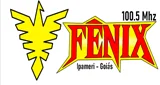 Rádio Fênix FM - Brasil, Goiás, Ipameri logo