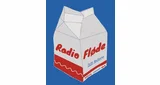 Radio Fløde - Danmark, Region Midtjylland, Aarhus logo