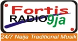 Logo Radio Fortis 9 - Nigeria, Oyo State, Ibadan