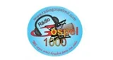 Лагатып Radio Gospel 1000 - Brasil, Paraíba, Mamanguape