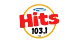 Rádio Hits Fm 103,1 - Brasil, Minas Gerais, Malacacheta-logo