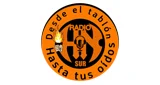 Logo Radio HN SUR - Chile, Biobío, Concepción